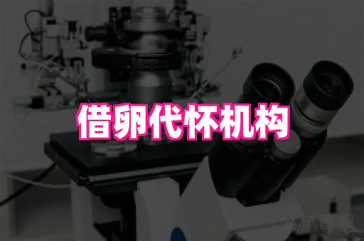 成都助孕网站 1