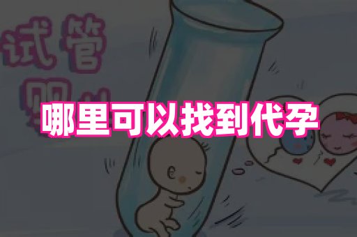 成都助孕网站 4